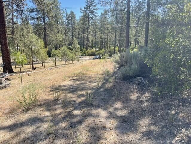 Lot 27 Pipe Creek Road, Mountain Center, CA 92561