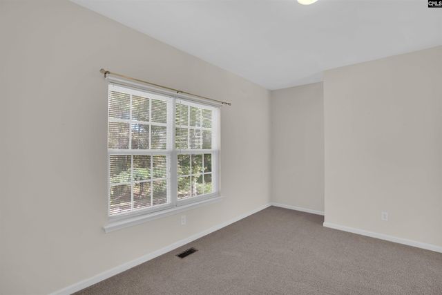 20 Persimmon Wood Court, Irmo, SC 29063