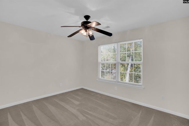 20 Persimmon Wood Court, Irmo, SC 29063