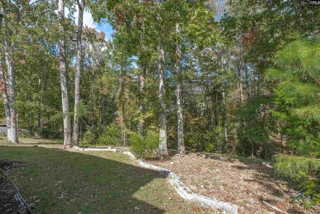 20 Persimmon Wood Court, Irmo, SC 29063