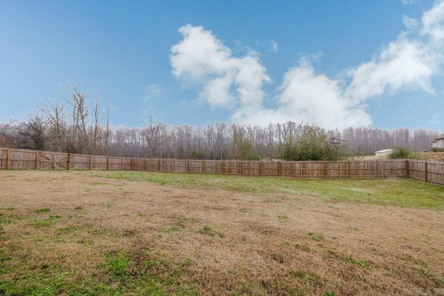 13024 Avilla Hills Cove, Alexander, AR 72002