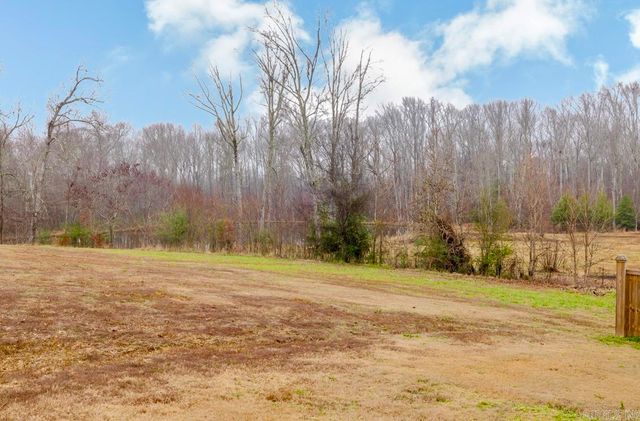 13024 Avilla Hills Cove, Alexander, AR 72002