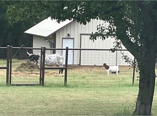 115 Bent Oak Road, Weatherford, TX 76086