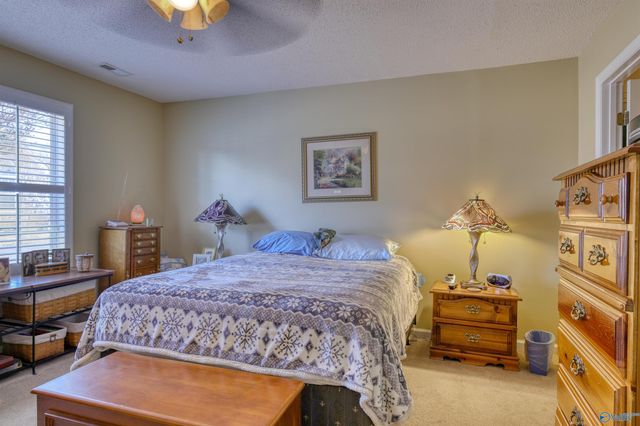 1133 Cathedral Circle 1133, Madison, AL 35758