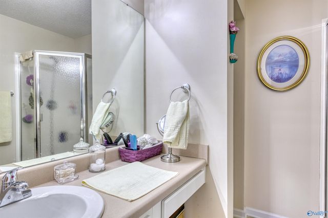 1133 Cathedral Circle 1133, Madison, AL 35758