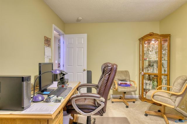 1133 Cathedral Circle 1133, Madison, AL 35758