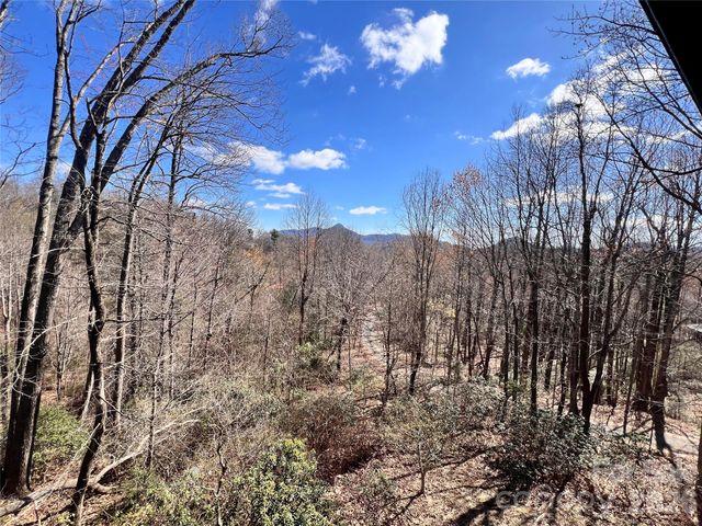 212 Glen Echo Circle, Saluda, NC 28773