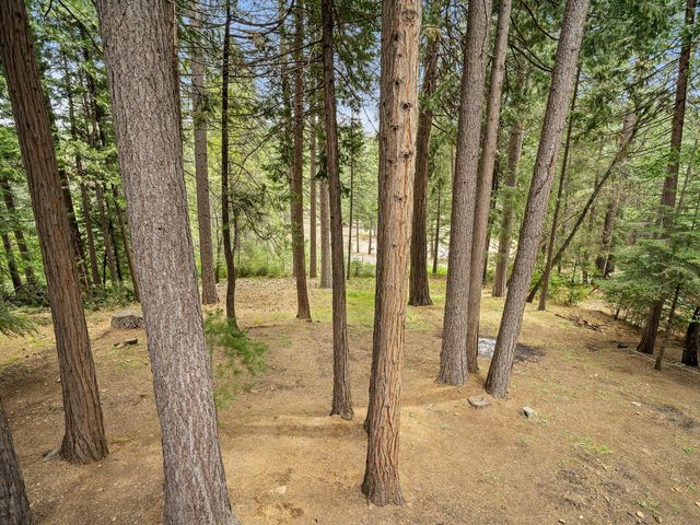 5123 Rainbow Trl, Pollock Pines, CA 95726