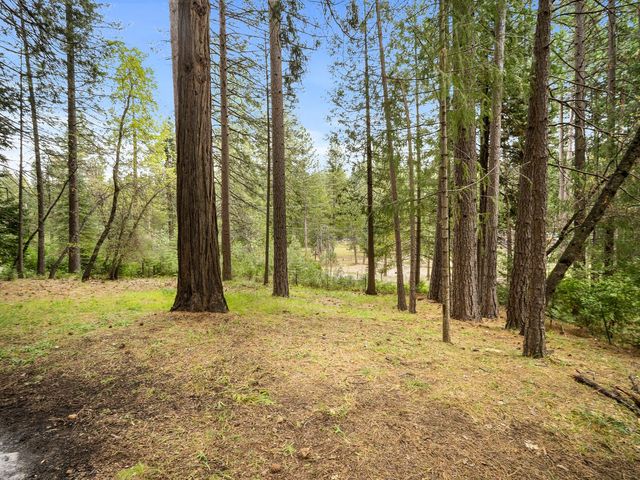 5123 Rainbow Trl, Pollock Pines, CA 95726