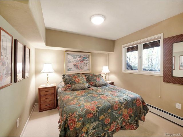 28 Sky Pilot Dr, Silverthorne, CO 80498