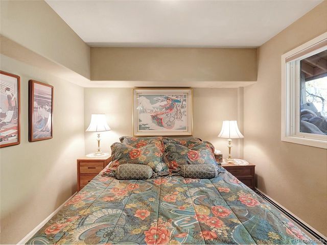 28 Sky Pilot Dr, Silverthorne, CO 80498