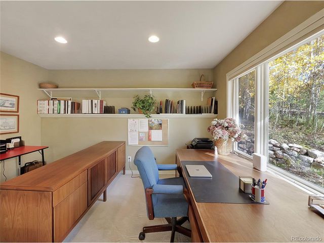 28 Sky Pilot Dr, Silverthorne, CO 80498