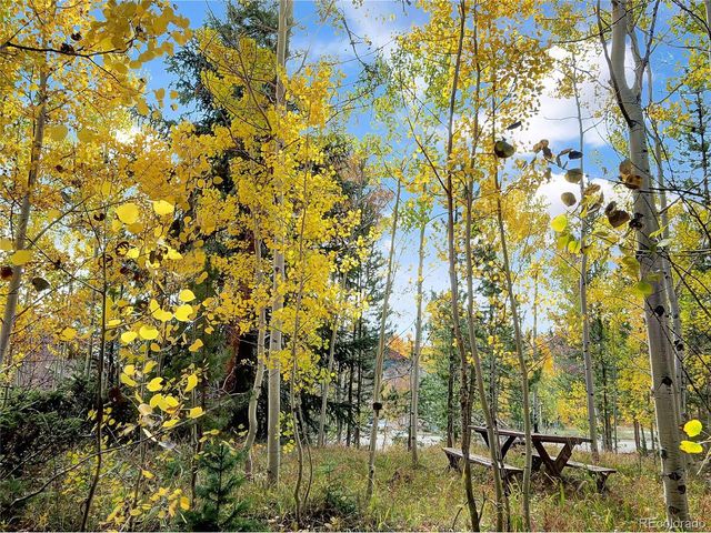 28 Sky Pilot Dr, Silverthorne, CO 80498