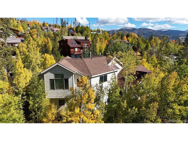 28 Sky Pilot Dr, Silverthorne, CO 80498