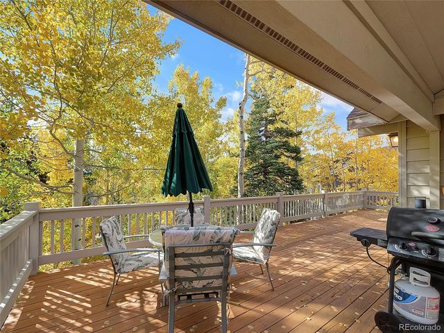 28 Sky Pilot Dr, Silverthorne, CO 80498