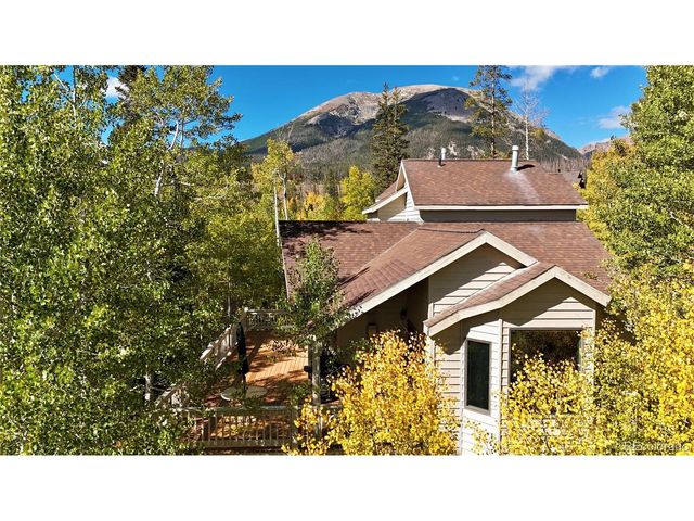 28 Sky Pilot Dr, Silverthorne, CO 80498