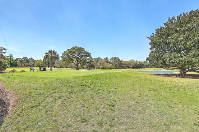 1126 Snap Dragon Court, Mount Pleasant, SC 29464