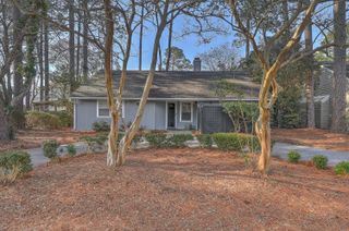 1126 Snap Dragon Court, Mount Pleasant, SC 29464