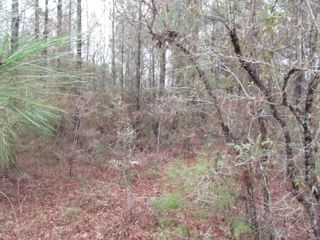 000 Eddie Smith Rd, Hattiesburg, MS 39402
