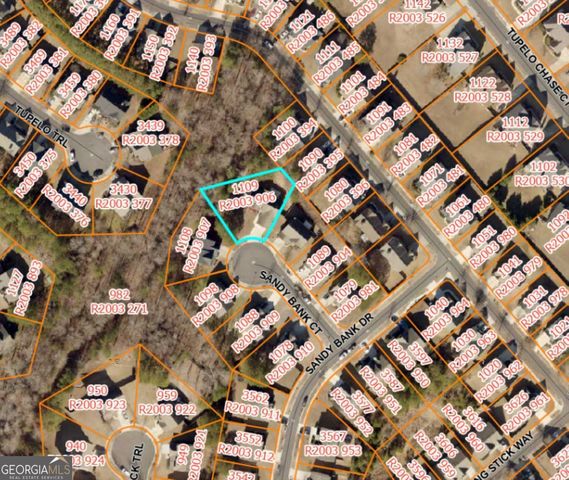 1109 Sandy Bank Court, Auburn, GA 30011