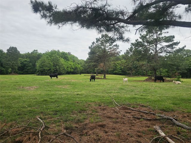 1350 County Road 45400, Paris, TX 75462