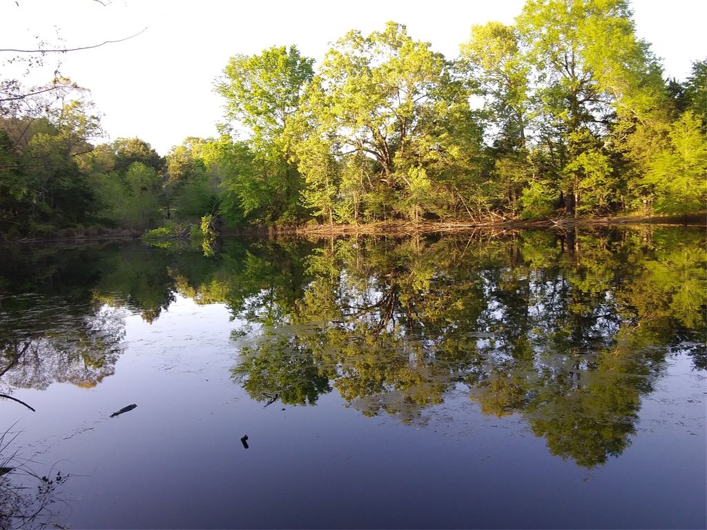 1350 County Road 45400, Paris, TX 75462