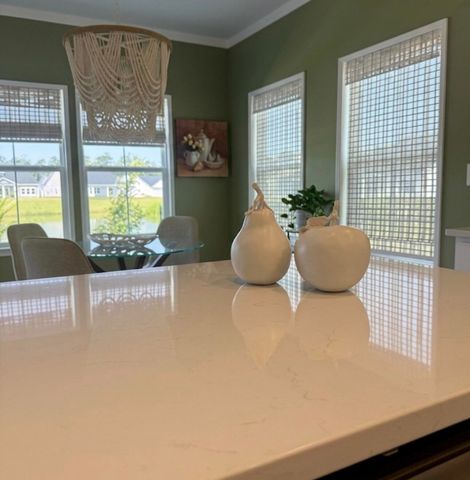 413 Sea Breeze Way, Longs, SC 29568