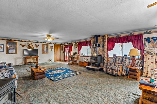 557 Hagewood Lane, Theodosia, MO 65761