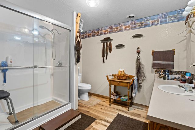 557 Hagewood Lane, Theodosia, MO 65761