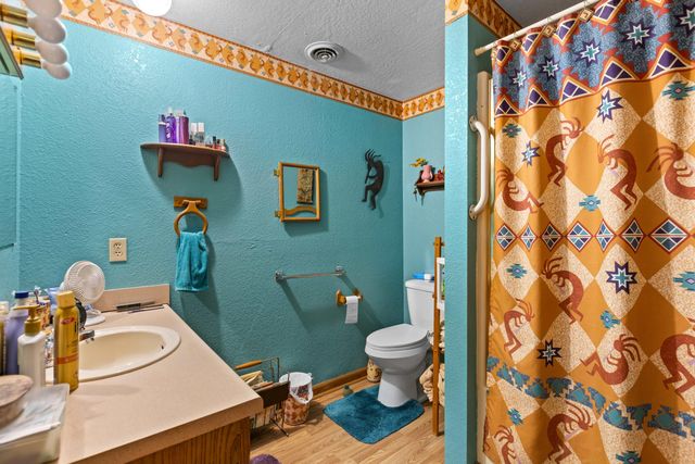 557 Hagewood Lane, Theodosia, MO 65761