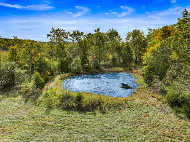 557 Hagewood Lane, Theodosia, MO 65761