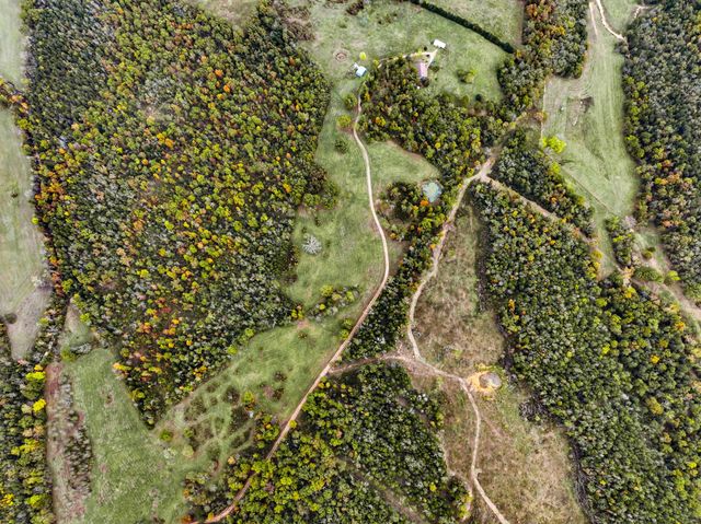 557 Hagewood Lane, Theodosia, MO 65761