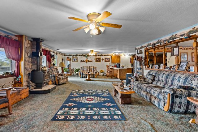 557 Hagewood Lane, Theodosia, MO 65761