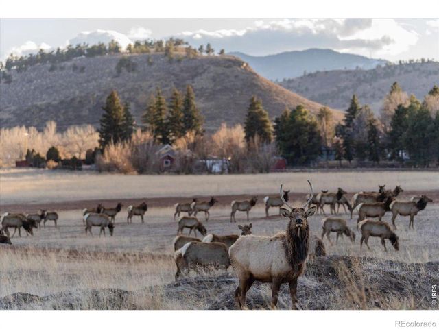 3336 Huckleberry Way, Loveland, CO 80538