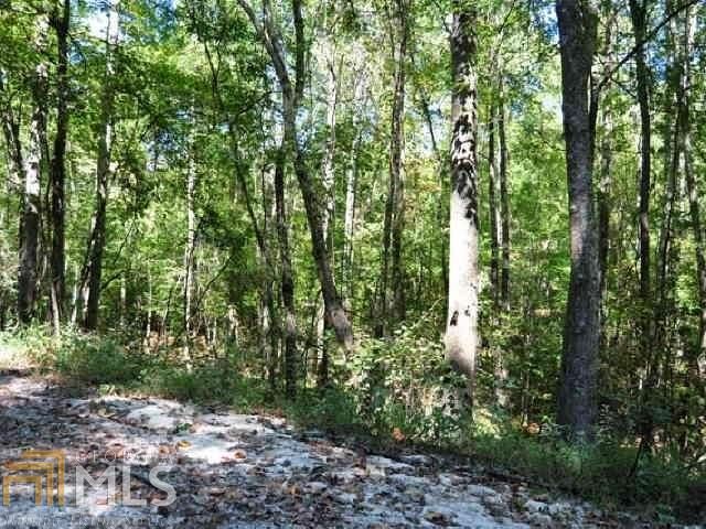 3312 S Mckoy Road, Villa Rica, GA 30180