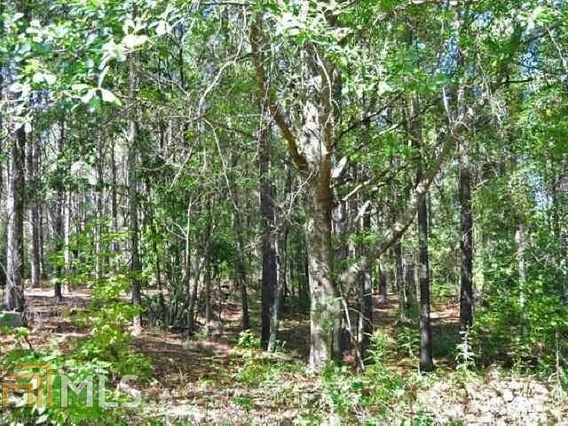 3312 S Mckoy Road, Villa Rica, GA 30180