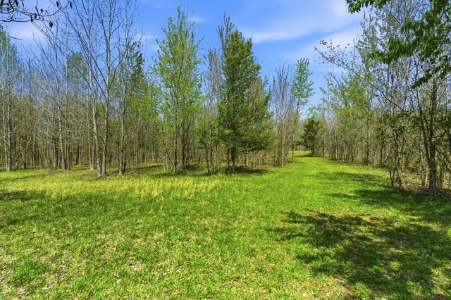 8270 Bethlehem Rd, Springfield, TN 37172