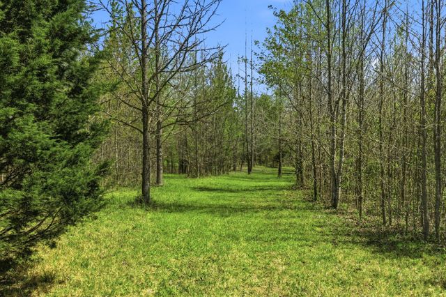 8270 Bethlehem Rd, Springfield, TN 37172