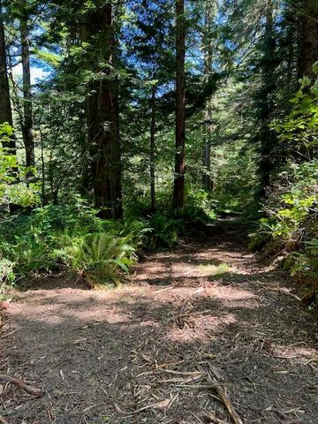 12.3 Acres Splinter Lane, Arcata, CA 95521