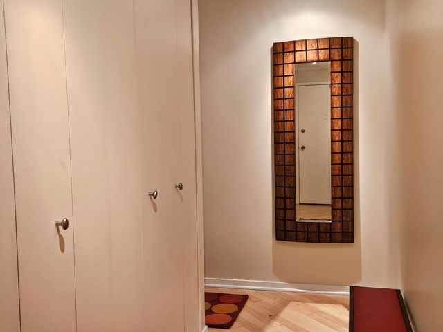 70 W Huron Street 809, Chicago, IL 60654
