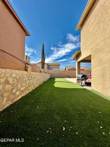 335 EMERALD WOODS Street, Horizon City, TX 79928