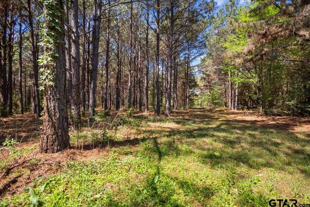 1219 Finklea Road, Hallsville, TX 75650