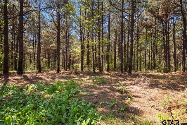 1219 Finklea Road, Hallsville, TX 75650