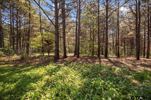 1219 Finklea Road, Hallsville, TX 75650