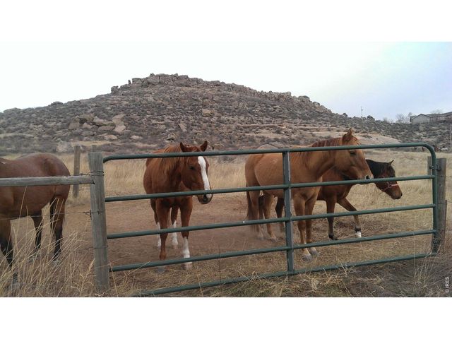 4318 Green Mile Dr, Laporte, CO 80535