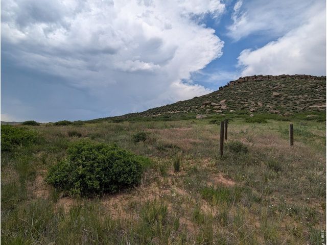 4318 Green Mile Dr, Laporte, CO 80535