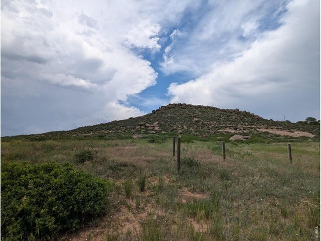 4318 Green Mile Dr, Laporte, CO 80535