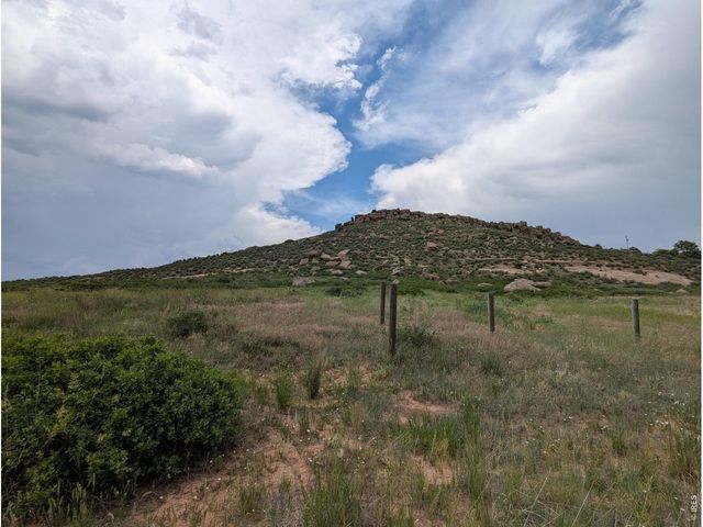 4318 Green Mile Dr, Laporte, CO 80535