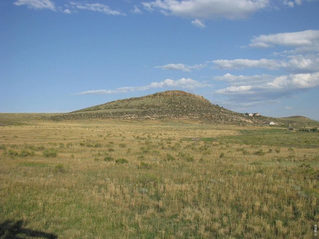 4318 Green Mile Dr, Laporte, CO 80535