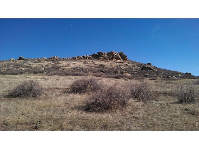 4318 Green Mile Dr, Laporte, CO 80535